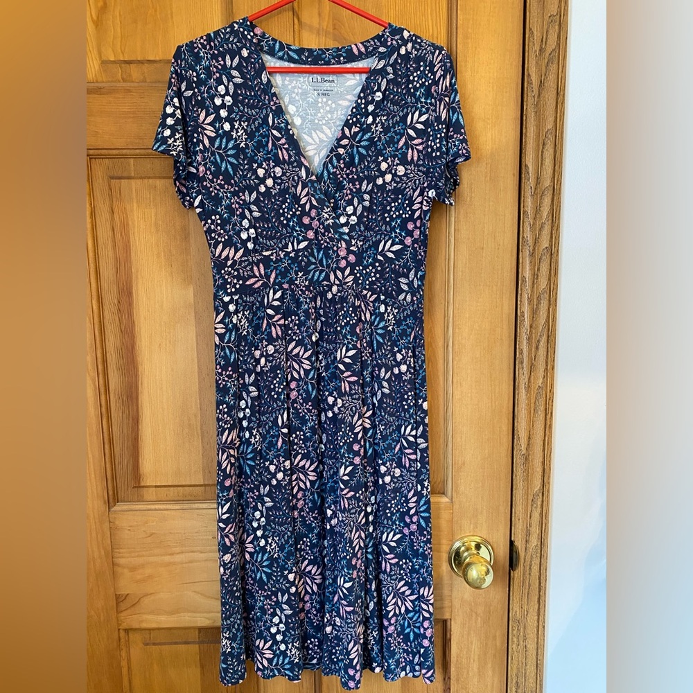 Ll Bean Floral Blue Dress